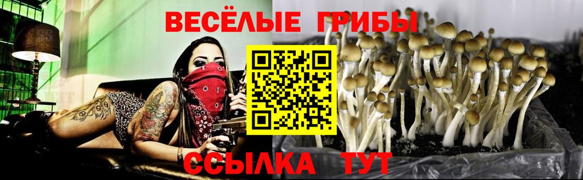 Псилоцибиновые грибы GOLDEN TEACHER  Вход с VPN  Псилоцибиновые грибы MAGIC MUSHROOMS  Лангепас 